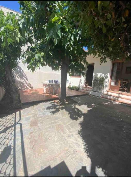 Maison Proche Plage Canet-en-Roussillon Ngoại thất bức ảnh